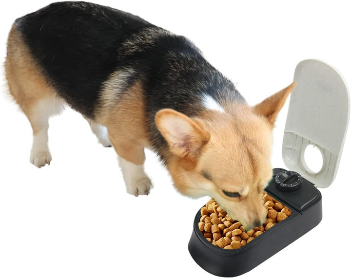PAWISE Automatische Haustierfütterung für Hunde und Katzen, 1.5 Cup Futterspender Feeder mit 48-Stun