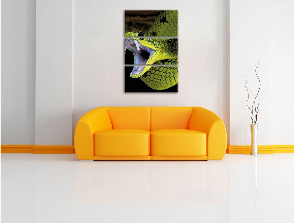 Pixxprint Giftige grüne Schlange als Leinwandbild/Grösse: 3 Teilig (120x80) cm/Wandbild/Kunstdruck/f