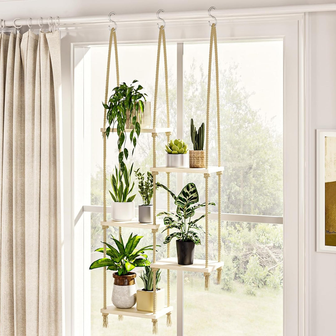 Bamworld Fenster Pflanzenregale Hängeregale Fenster Pflanzenhänger Indoor Holz Pflanze Wandregal Fen