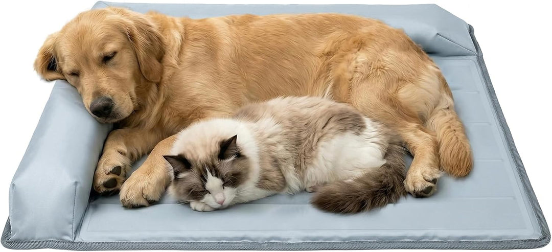 XIAPIA Kühlmatte Hunde Ergonomisch mit Rand (7cm), 69x99 cm Hundebett Selbstkühlend, 100% Ungiftiges