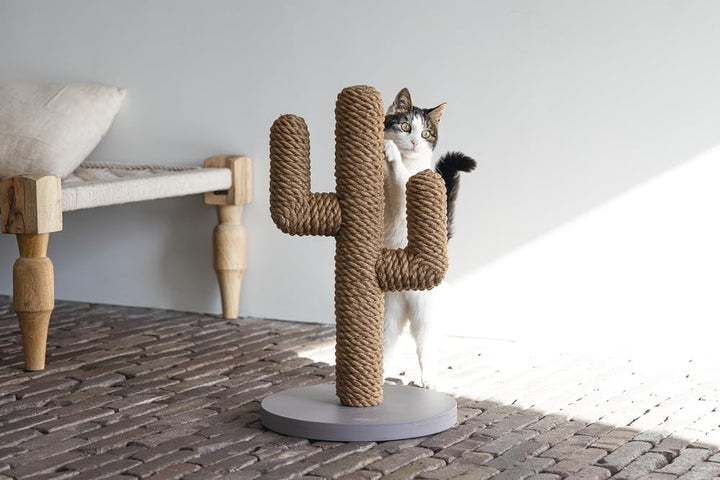 Designed by Lotte Kratzbaum Cactus L: 35 cm B: 35 cm H: 60 cm taupe