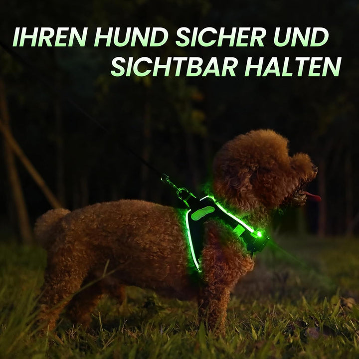 PcEoTllar Hundegeschirr Leuchtend USB Aufladbar Reflektierendes Leuchtgeschirr LED Leucht Brustgesch