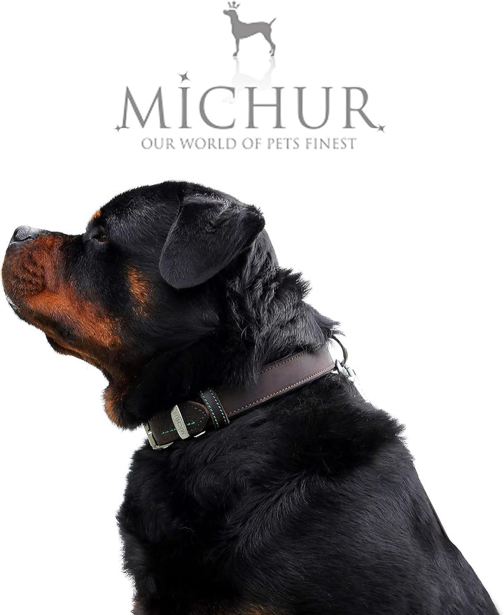 MICHUR Oleo Hundehalsband Leder, Lederhalsband Hund, Halsband, Braun, Leder, in verschiedenen Grösse
