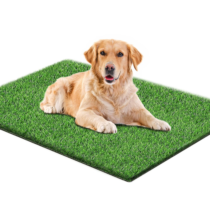 80*100CM Hundeklo für Zuhause & Hundetoilette Balkon Welpen Training Hundetoilette Ersatzrasen mit K