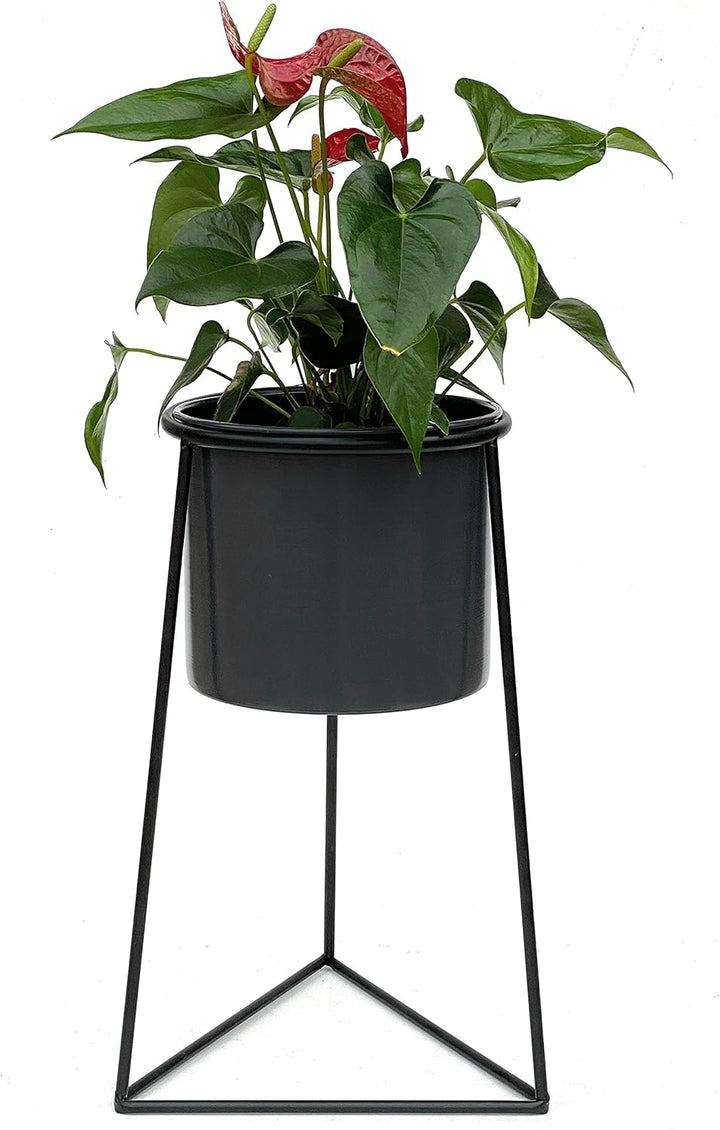 DanDiBo Blumenhocker mit Topf Metall Schwarz L 45 cm Blumenständer 96052 Blumensäule Modern Pflanzen