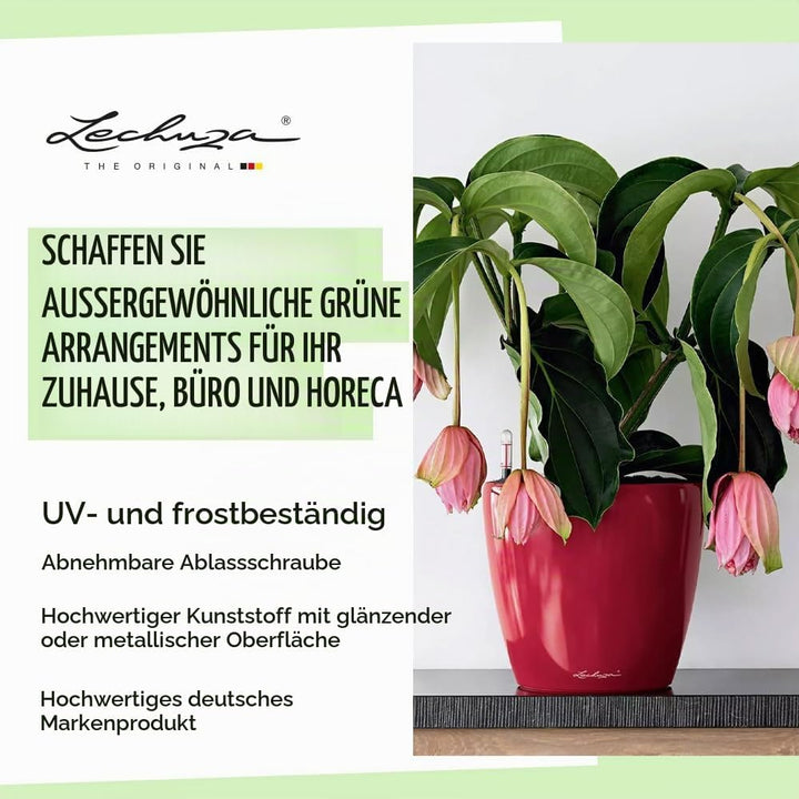 LECHUZA CLASSICO Premium LS 50 scarlet rot hochglanz 16107 49.5x49.5x46.5 cm Scarlet Rot Hochglanz E