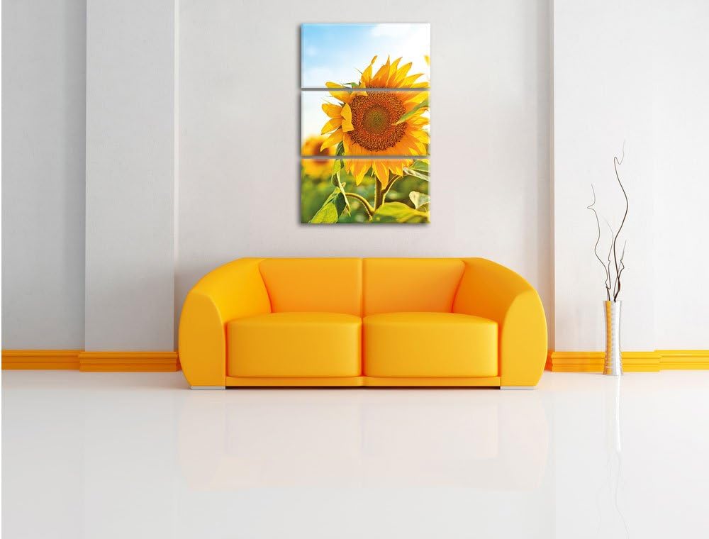Pixxprint Sonnenblumenfeld SonnenblumeSonne als Leinwandbild/Grösse: 3 Teilig (120x80) cm/Wandbild/K