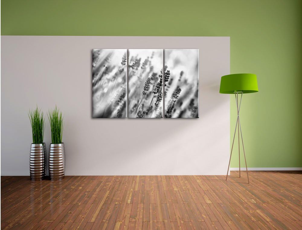 Pixxprint Schöner Lavendel im sanften Licht als Leinwandbild/Grösse: 3 Teilig (120x80) cm/Wandbild/K