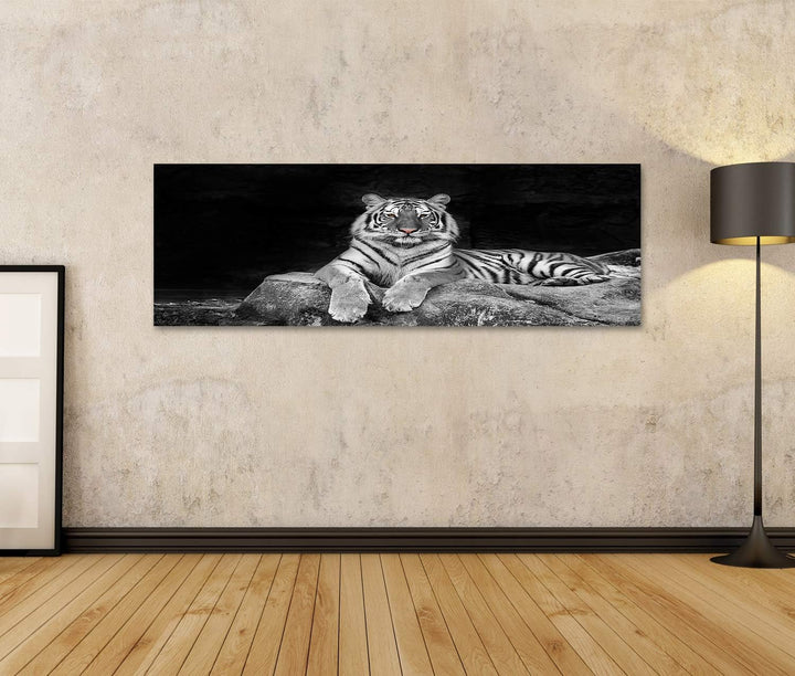 islandburner Bild auf Leinwand Weisser Tiger Bilder Wandbilder Poster Leinwand 120x40cm - Panorama,