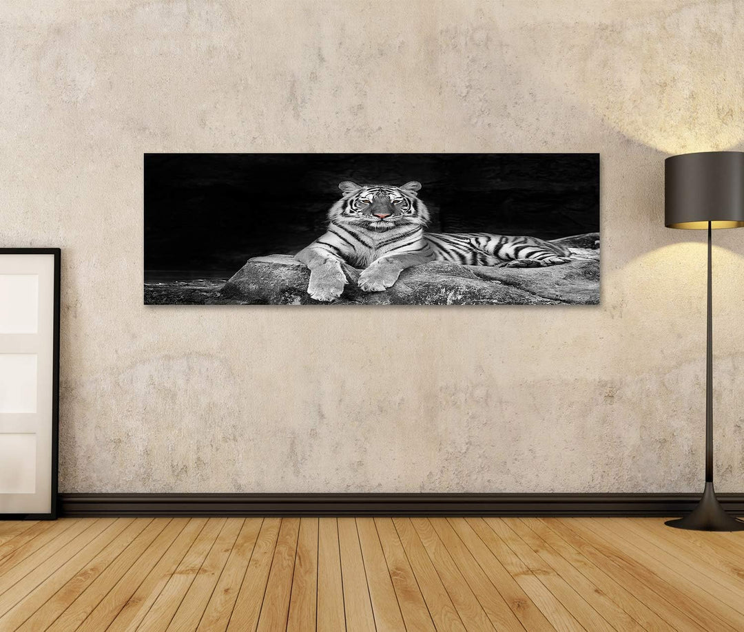 islandburner Bild auf Leinwand Weisser Tiger Bilder Wandbilder Poster Leinwand 120x40cm - Panorama,