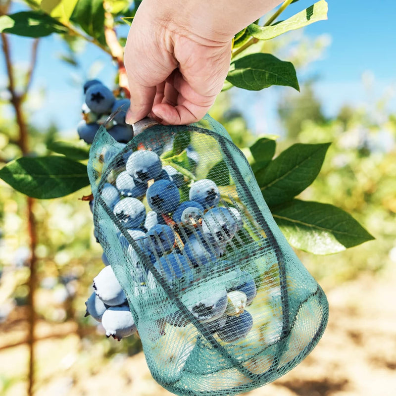 Cabilock Riffl Beerenpflücker Picker Obstpflücker Obsternter Werkzeug Beerenkamm Johannisbeeren Heid