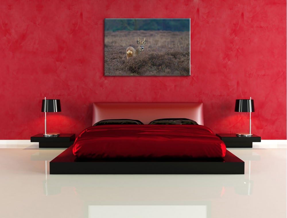 junger Hirsch auf dunkler Wiese Leinwand, XXL riesige Bilder fertig gerahmt mit Keilrahmen, Kunstdru