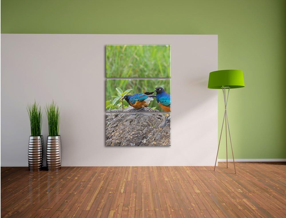 Pixxprint Vögel auf einem Stein als Leinwandbild/Grösse: 3 Teilig (120x80) cm/Wandbild/Kunstdruck/fe