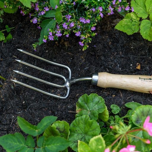 Burgon &amp; Ball GTH/SRFRHS RHS Edelstahl-Gabel, rund, verzinnt