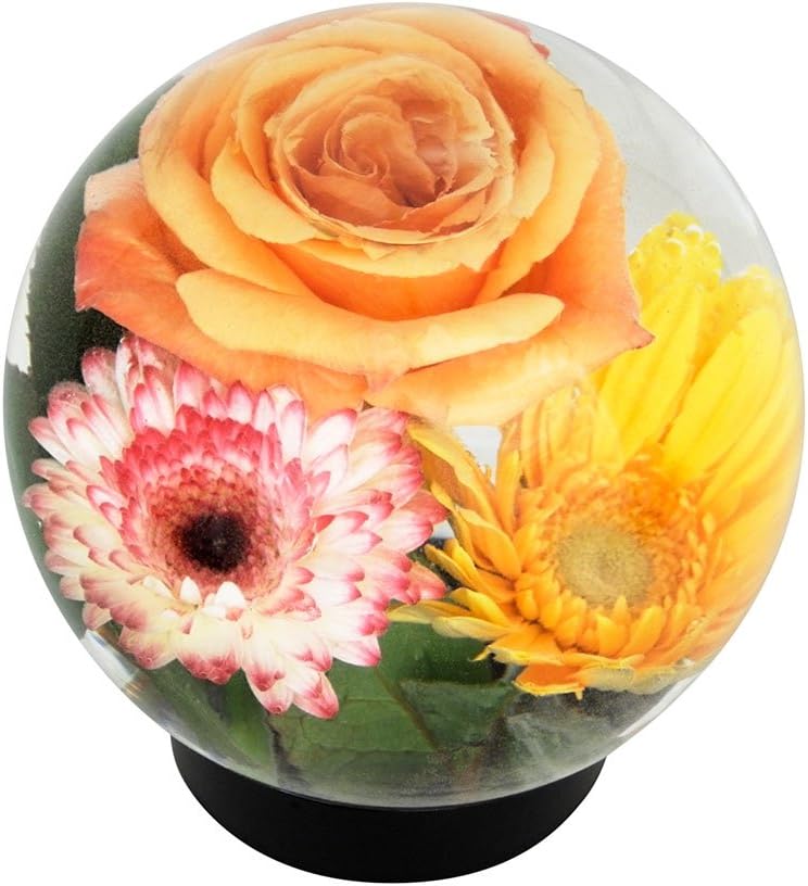 Achla Designs Blumenaquarium FLAQ-01 - Transparent 16,1925x16,1925x18,415 cm, 16,1925x16,1925x18,415
