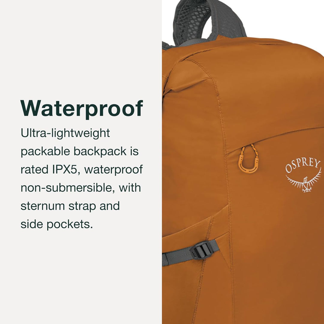 Osprey Ultralight Dry Stuff Pack