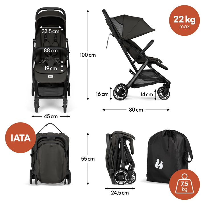 hauck All-in-One Reisebuggy Set, Flugzeug Handgepäck, Fly N Care Black | Einhändig klappbar mit Trag