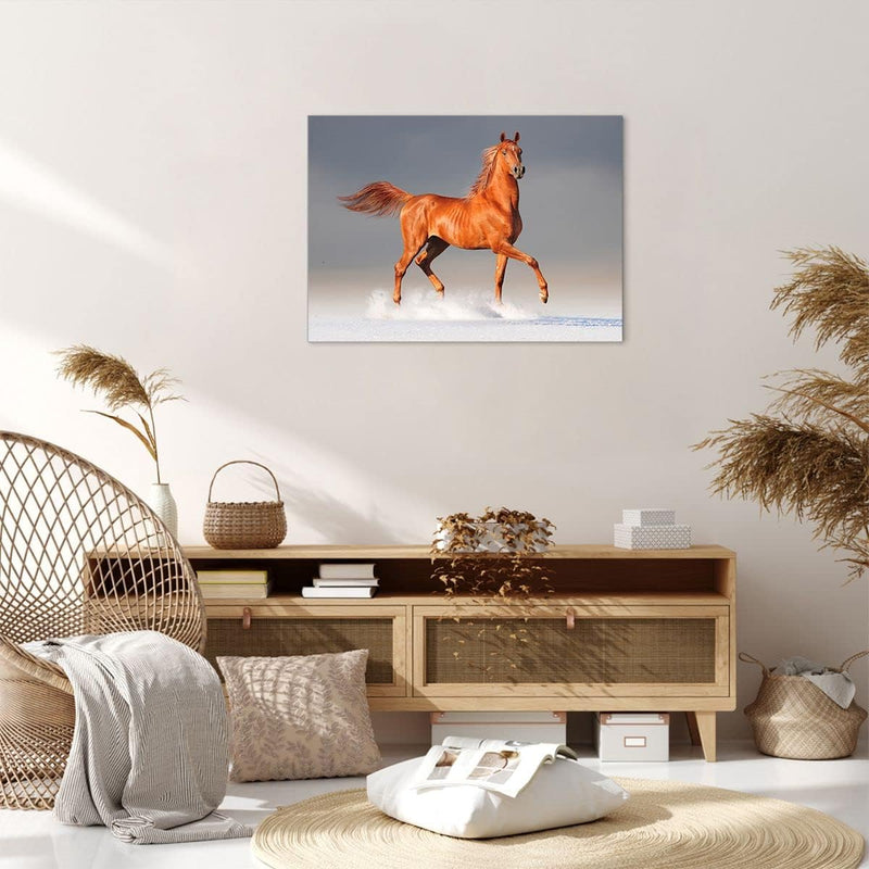 Bilder auf Leinwand Tiere Pferd Galopp Geschwindigkeit Leinwandbild 70x50cm Wandbilder Dekoration Wo