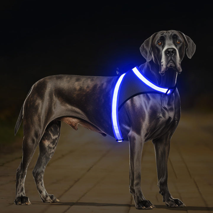 ChalkLit LED Leuchtendes Hundegeschirr USB Wiederaufladbares Vollständig Beleuchtetes Hundegeschirr