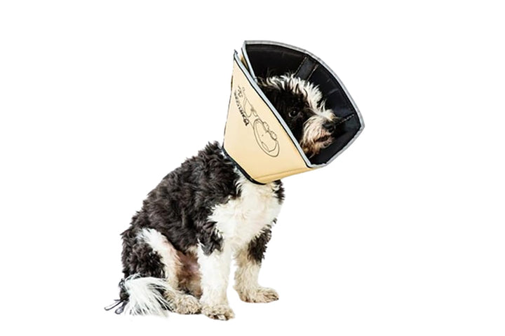 All Four Paws „The Comfy Cone“ Halskrause für Haustiere X-Large (Pack of 1) Hellbraun, X-Large (Pack