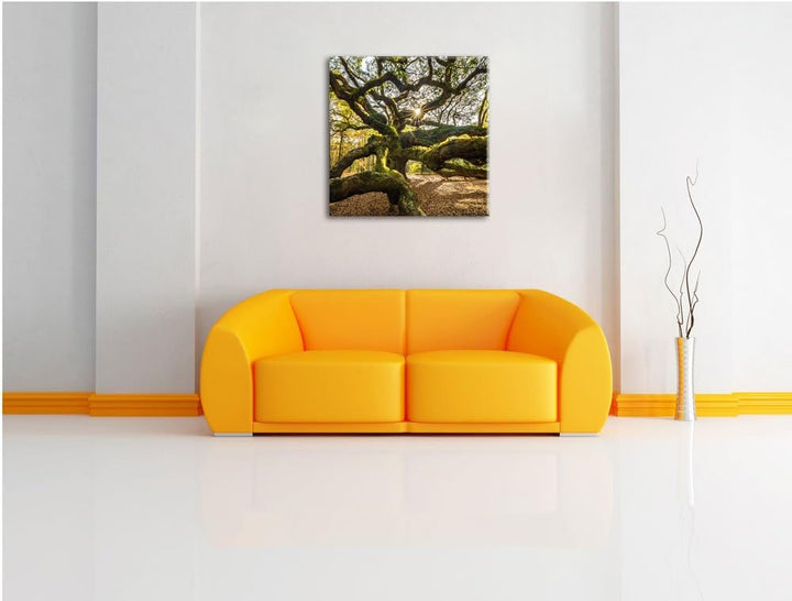 Pixxprint gigantisch verwzeigter Baum, Format: 70x70 auf Leinwand, 70x70
