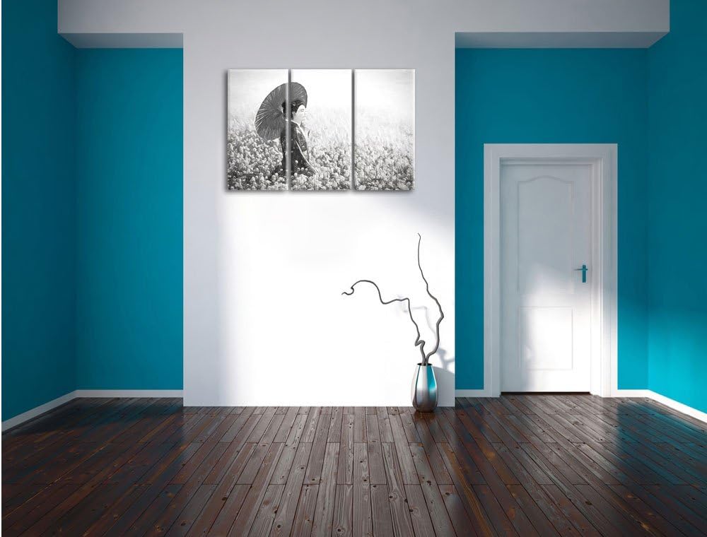 Pixxprint Geisha auf dem Feld Kunst Kohle Effekt 3-Teiler Leinwandbild 120x80 Bild auf Leinwand