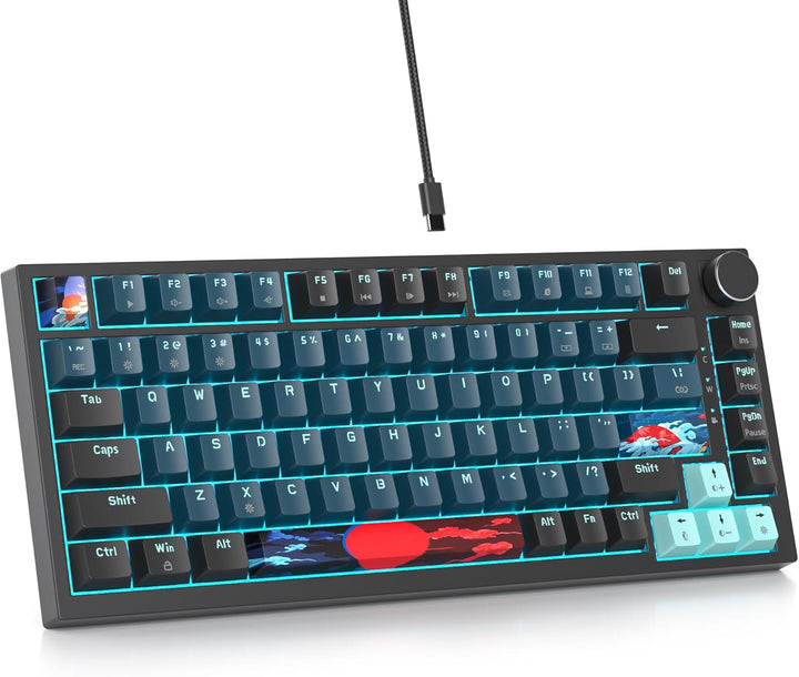 SOLIDEE Verkabelte 75% Mechanische Gaming-Tastatur, Hot-Swap-Fähig Mit Gasket Struktur, RGB-Hintergr