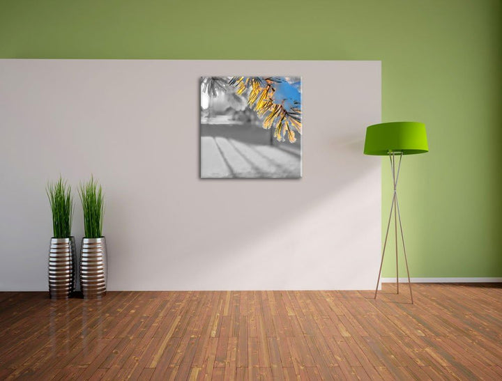 Pixxprint Tannenzweig im Winter als Leinwandbild/Grösse: 70x70 cm/Wandbild/Kunstdruck/fertig bespann