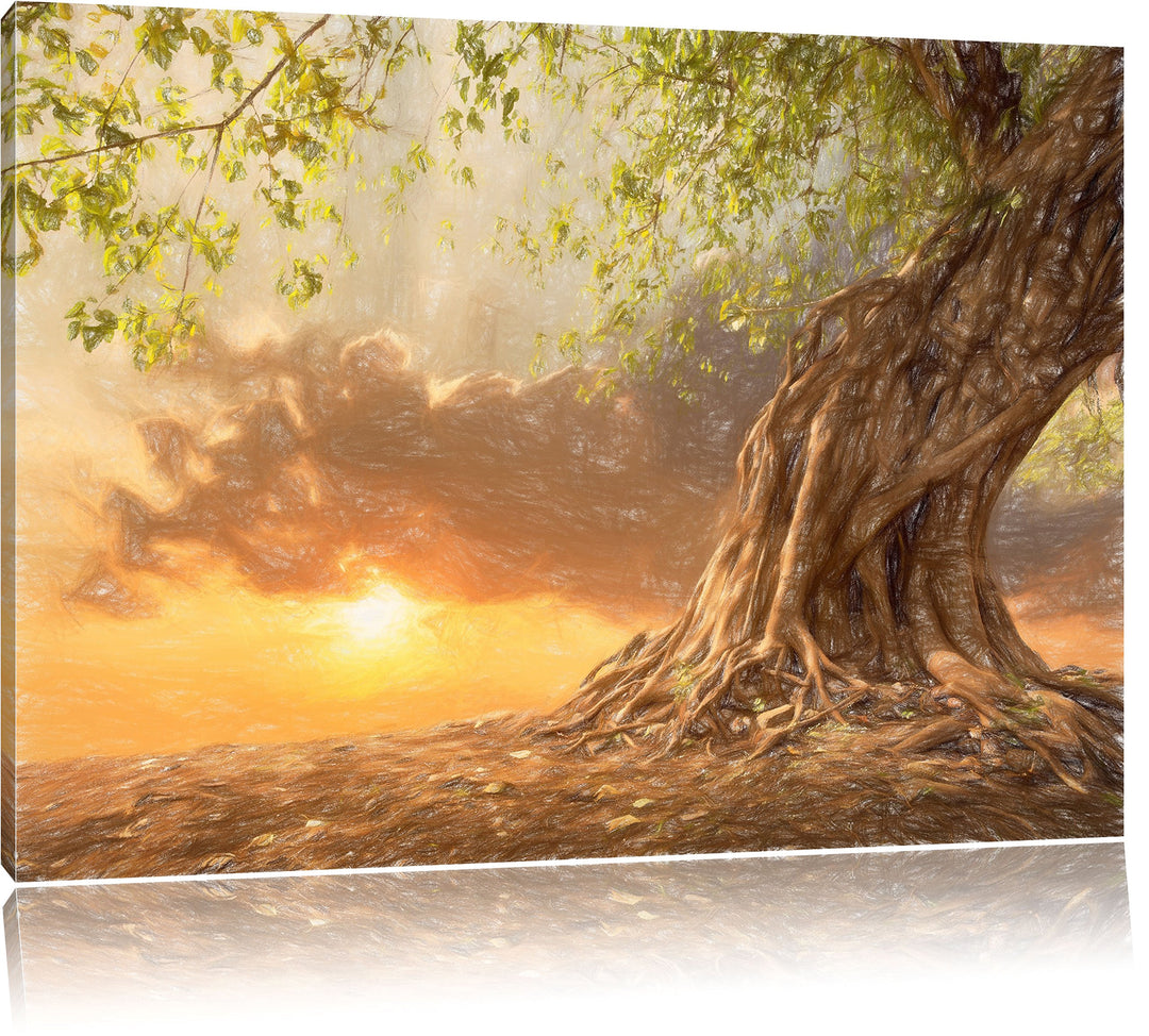 Pixxprint Verwurzelter starker Baum als Leinwandbild/Grösse: 100x70 / Wandbild/Kunstdruck/fertig bes