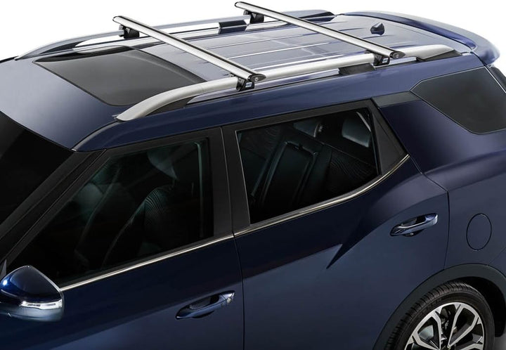 Cruz 924–783 Bars Airo – X118 Weihnachtskarte, Set von 2