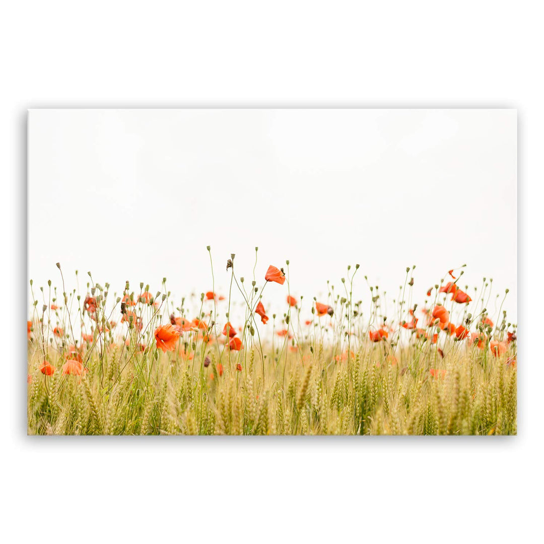 ge Bildet Bild auf Leinwand | Mohnfeld - blumen natur M in 120x80 cm als Wandbild XXL | Wand-deko De