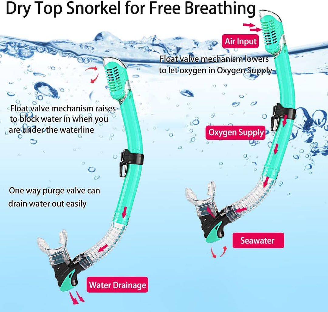 HH HHAO SPORT Schnorchelset Erwachsene mit Flossen,Schnorchelausrüstung in Reisegrösse mit Kurzen Ve