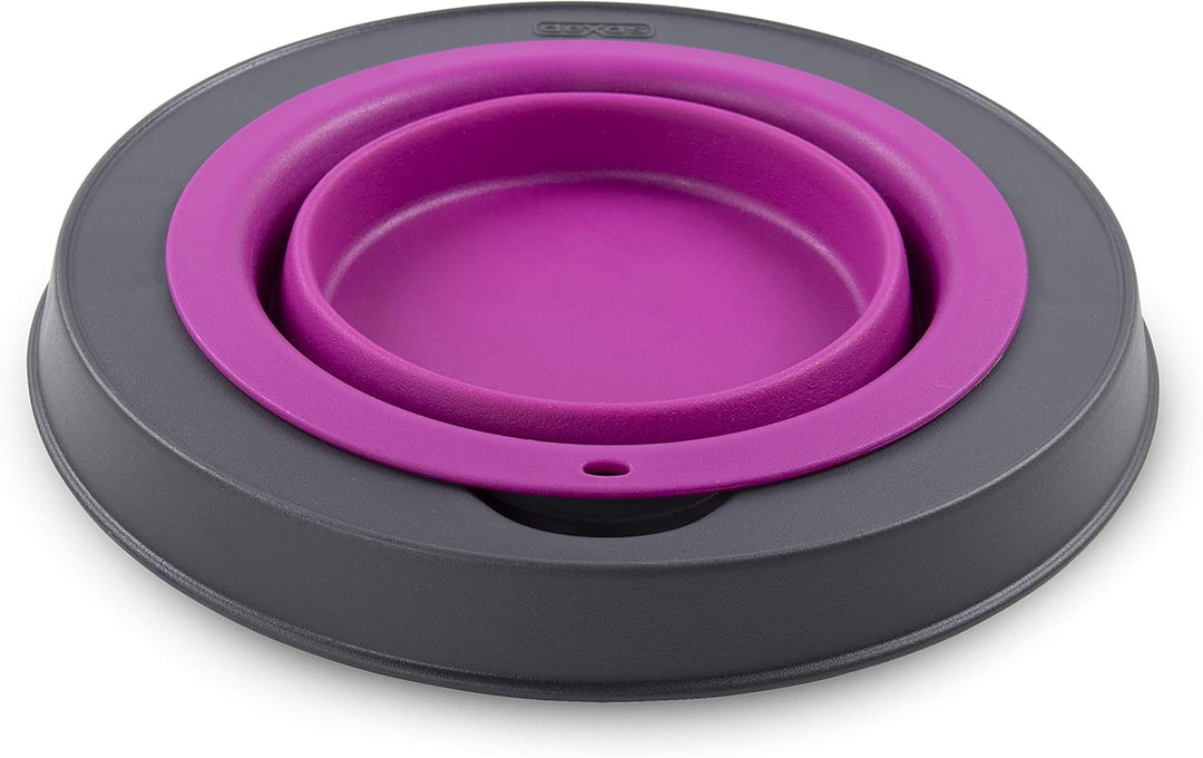 Dexas Pets Futternapf, erhöht, für 4 Tassen, Fuchsia, gross Large/4 Cup Capacity Fuchsia, Large/4 Cu