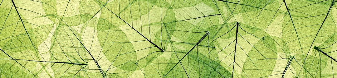 DIMEX Küchenrückwand Folie selbstklebend BLATTADERN | Klebefolie - Dekofolie - Spritzschutz für Küch