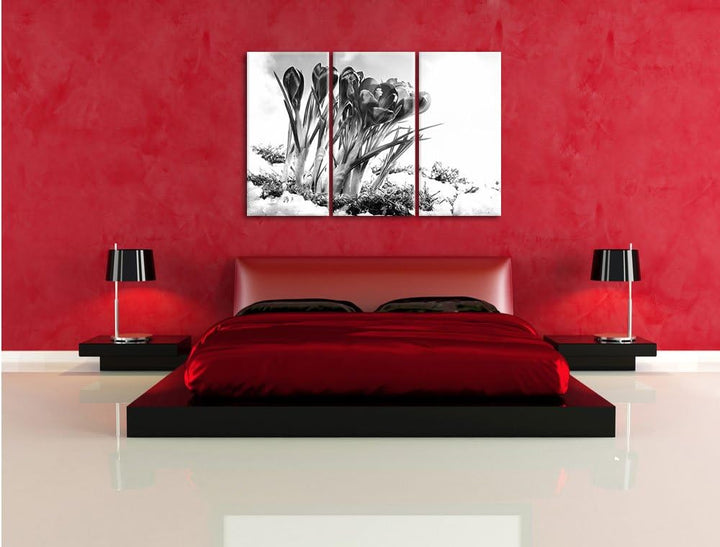 Pixxprint Frühling florwer Hintergrund / 3-Teilig/Gesamtmass 120cm Leinwandbild bespannt auf Holzrah