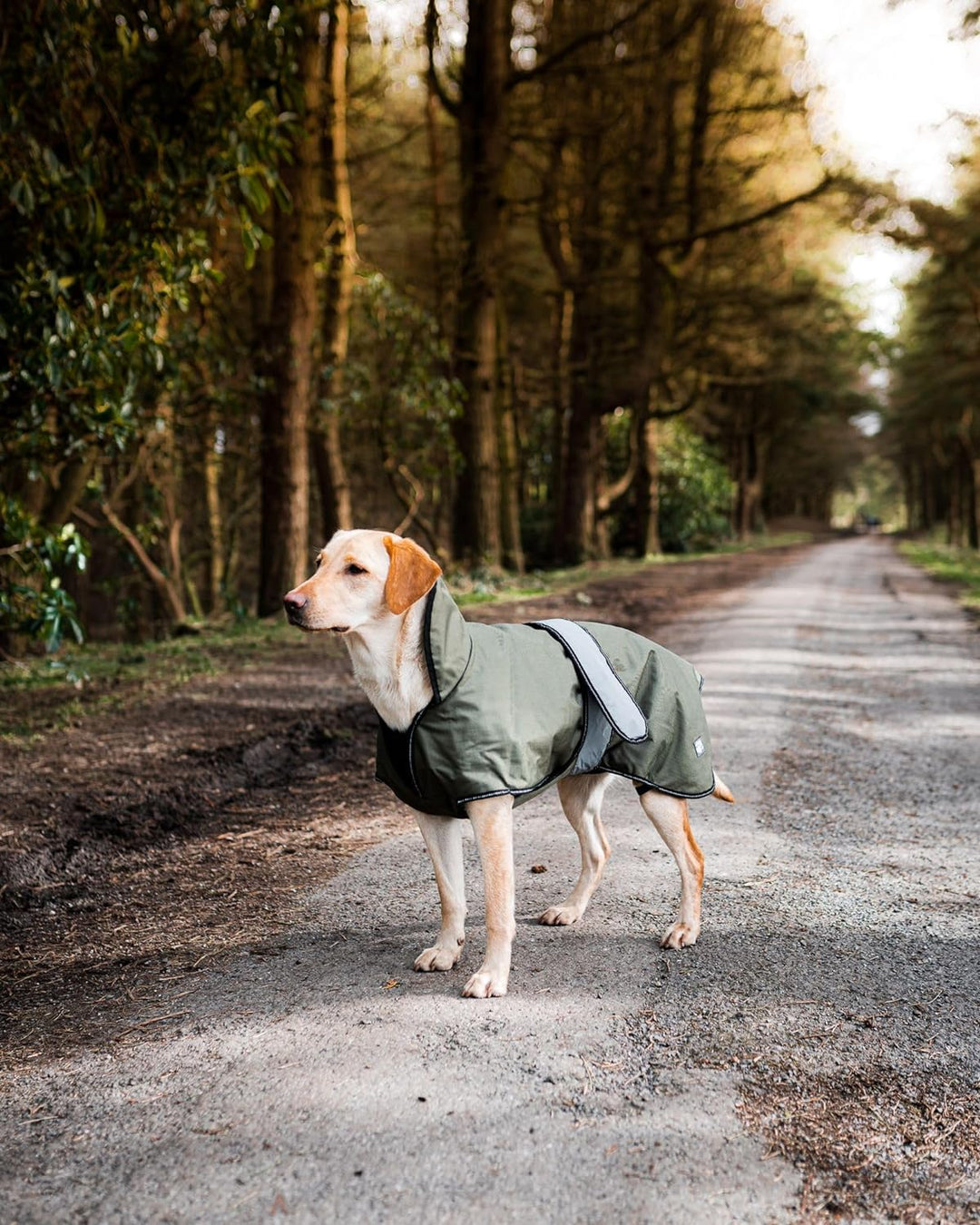 Danish Design 2-in-1 Light Reflective Dog Coat, 60 cm, grün khaki 60 cm, khaki 60 cm
