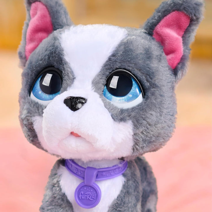 Just Play furReal Walk-A-Lots French Bulldog, interaktives Spielzeug, 20,3 cm grosser, laufender Plü