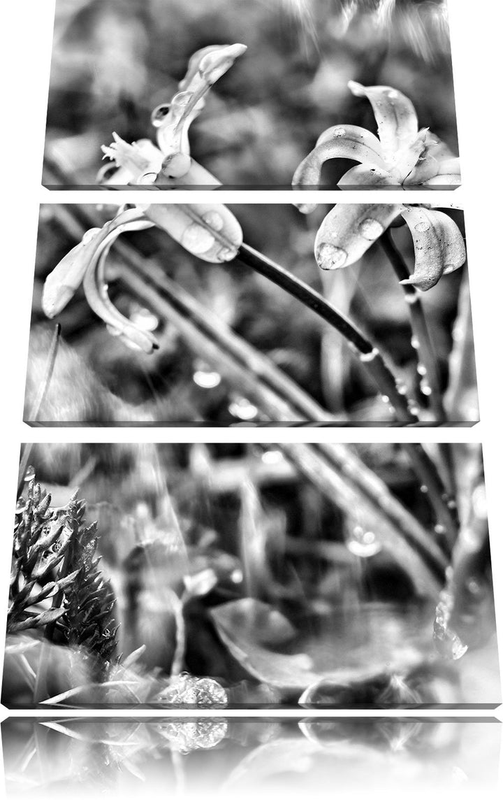 Pixxprint Kleine Lila Waldblume / 3-Teilig/Gesamtmass 120cm Leinwandbild bespannt auf Holzrahmen/Wan
