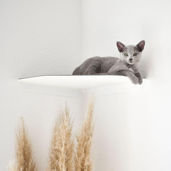 ChapoNero Katzenliege &amp; Kletterstufe mit Filzauflage für Wandecken | Wandliege für Katzen | Katzenst