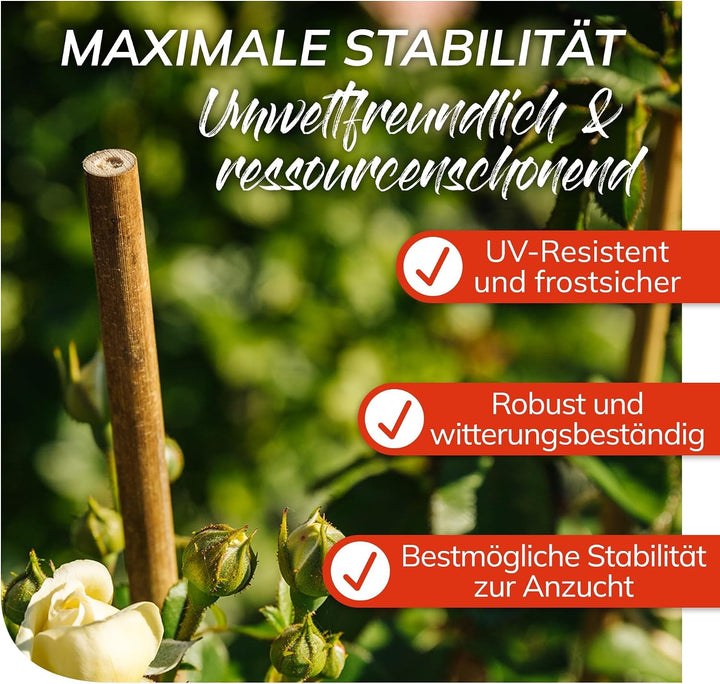 bellissa Bambusstäbe Rankhilfe Bambusstangen 100er-Set Bambusholz 120 cm | Pflanzenstütze für Rankpf