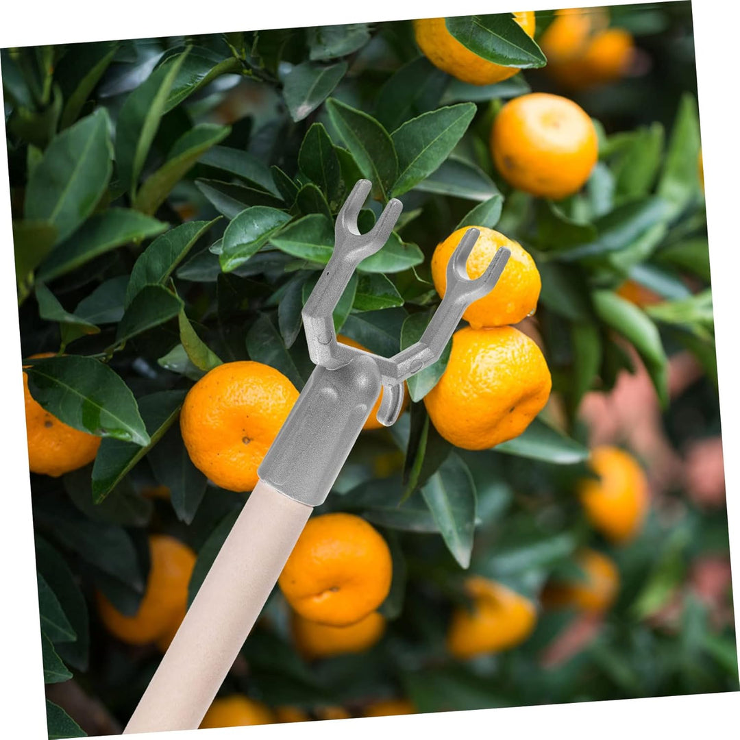Yardwe 30 STK Abzweigstecker Baumpfähle Baumhalter Baum Steht Pfähle Für Pflanzen Gartenzubehör Baum
