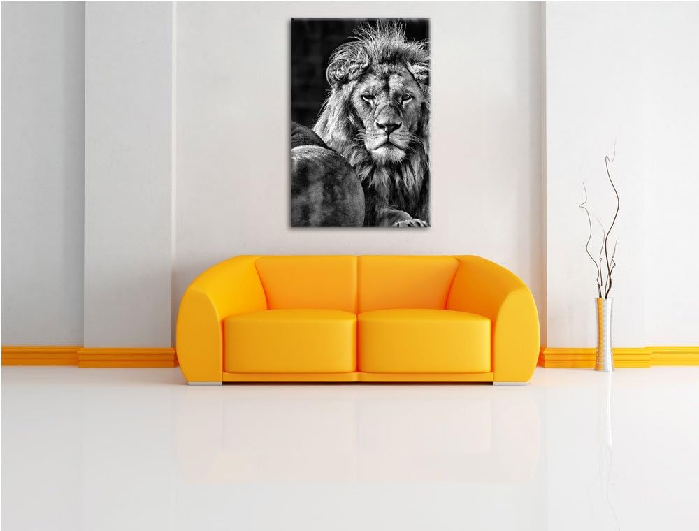 Pixxprint Monocrome, schönes Löwenpaar, Format: 100x70 auf Leinwand, 100x70
