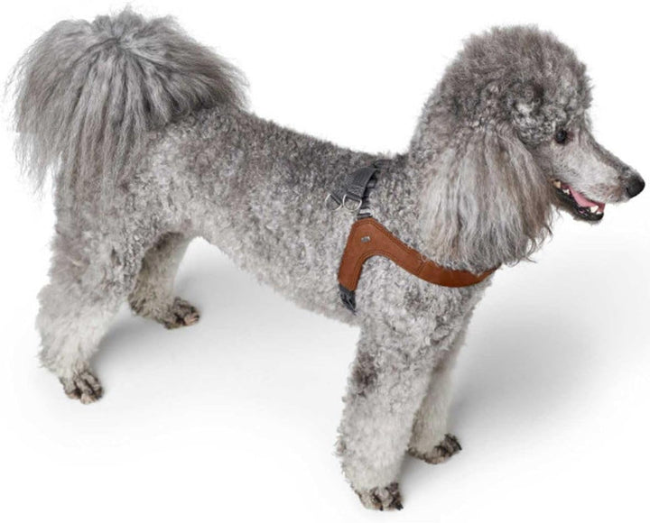 Hunter Hundegeschirr DIMARO, Farbe: Cognac, weiches & Robustes Rindsleder, hervorragende Passform, l