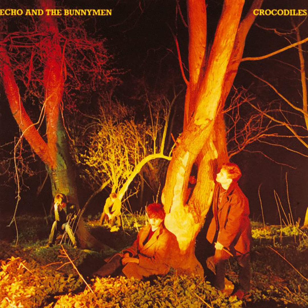 Crocodiles, Vinyl