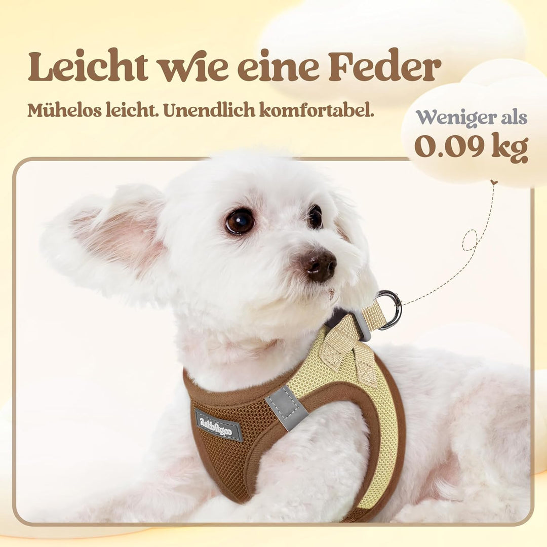 rabbitgoo Hundegeschirr Kleine Hunde mit Leine, Step-in Welpengeschirr Weich Mesh für Spaziergänge,
