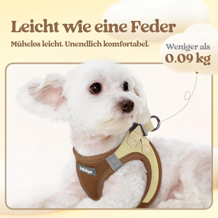 rabbitgoo Hundegeschirr Kleine Hunde mit Leine, Step-in Welpengeschirr Weich Mesh für Spaziergänge,