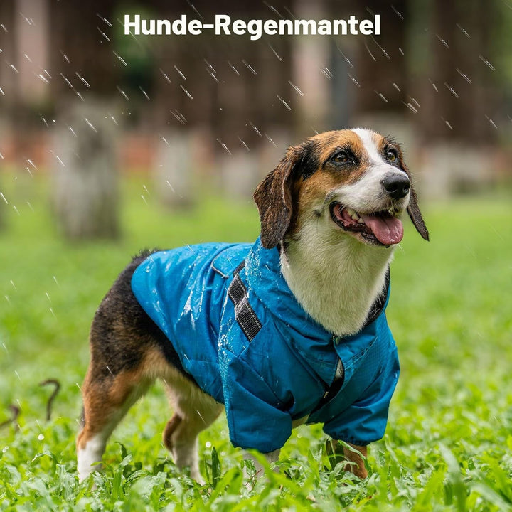 JoyDaog Regenmantel für kleine Hunde mit Kapuze, wasserdichte Outdoor-Regenjacke für Hunde, Welpen-R