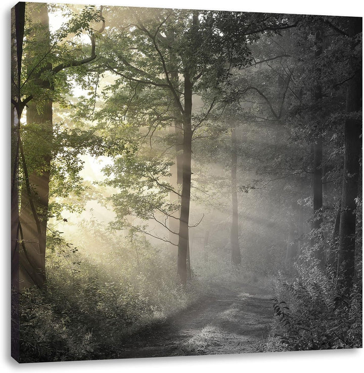 Pixxprint Waldweg im Grünen als Leinwandbild/Grösse: 70x70 cm/Wandbild/Kunstdruck/fertig bespannt, 7