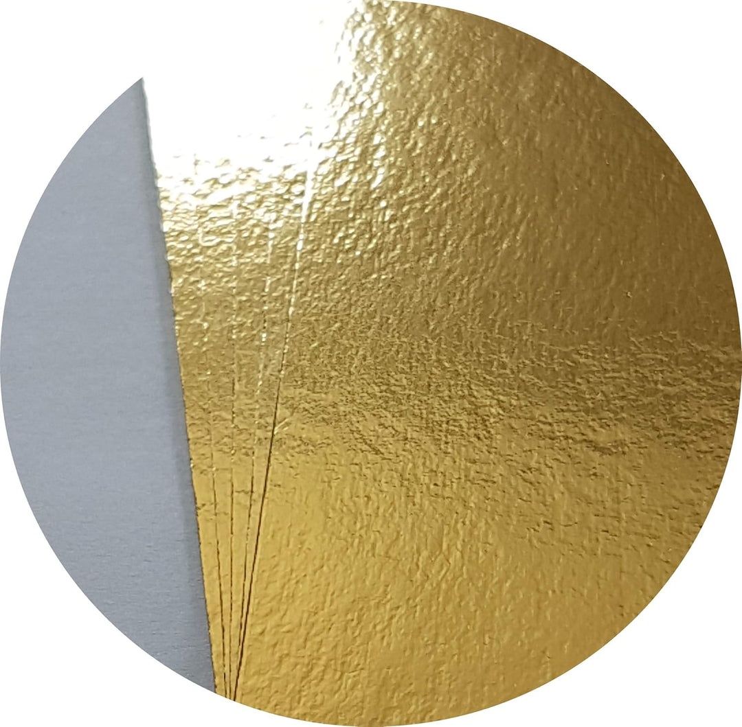 25x Lachsbretter 120 x 160 mm gold/silber Lachs Trays zum einvakuumieren 25 12x16 cm, 25 12x16 cm