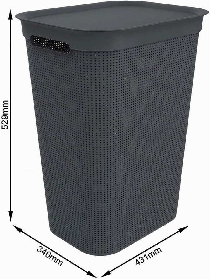Rotho Brisen Wäscheset 2tlg. 50l, 41l, Kunststoff (PP) BPA-frei, anthrazit, 50l, 41l, Anthrazit